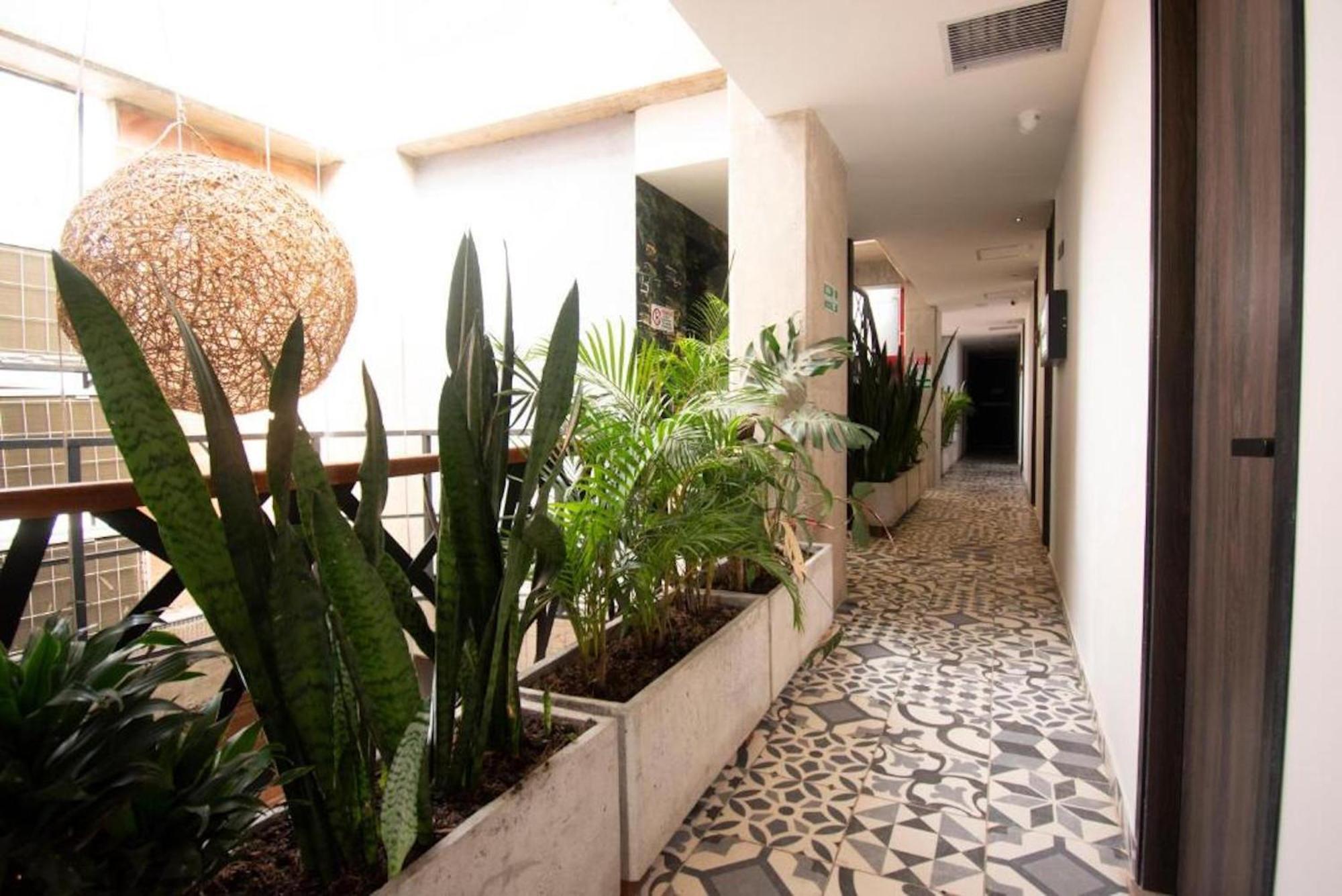 Apartahotel Medellín Dış mekan fotoğraf